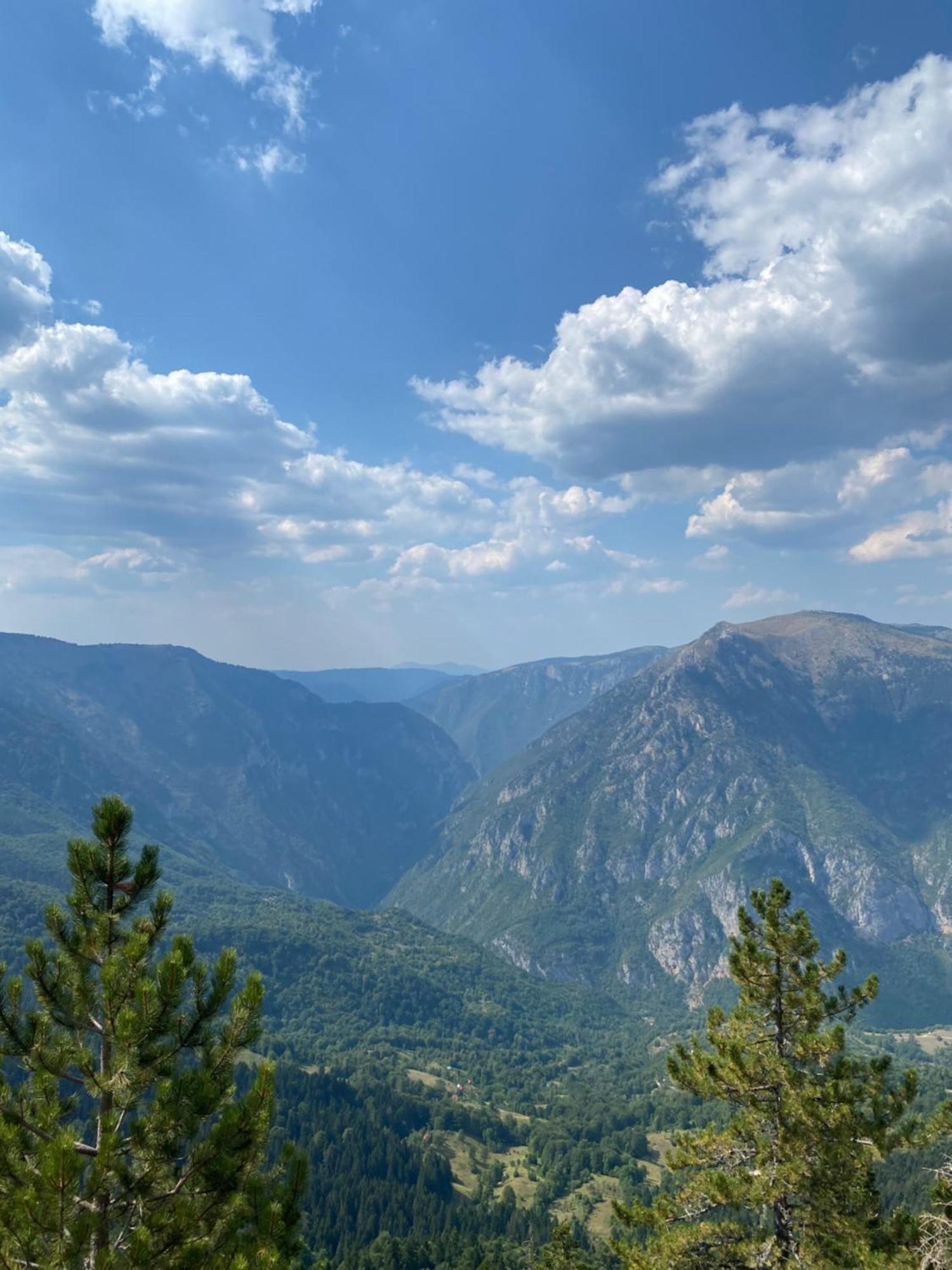 Guesthouse Andrea A Žabljak Екстериор снимка
