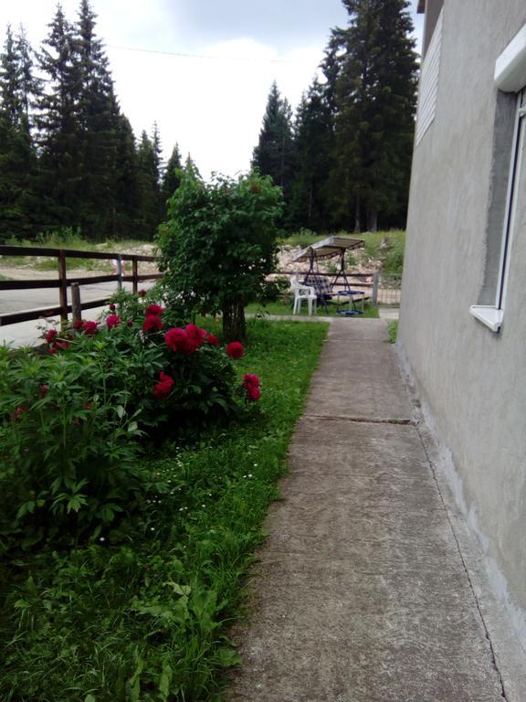 Guesthouse Andrea A Žabljak Екстериор снимка